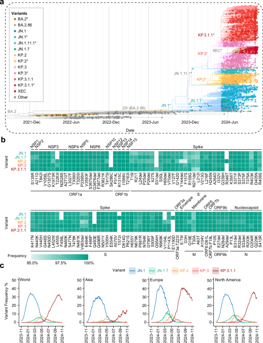 Graphical representation of renewable energy project impact