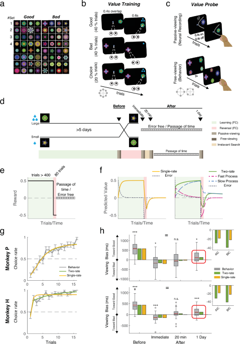 Cortex Fast Ingwe Prefrontal cortex temporally multiplexes slow and fast dynamics in ...