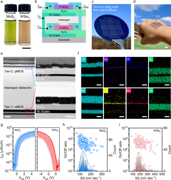 Flexible monolithic 3D complementary circuits based on 2D semiconductor inks