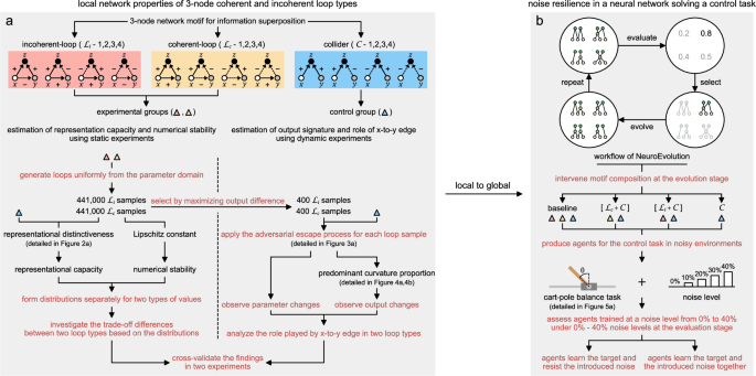 Leveraging network motifs to improve artificial neural networks