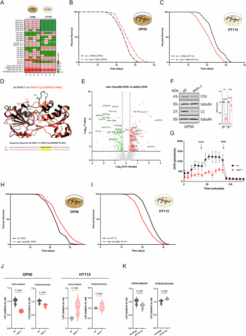 c elegans lipid storage defective Lipidomic and proteomic analysis of Caenorhabditis droplets and identification of ACS-4 as a lipid droplet-associated protein Application of Caenorhabditis elegans in