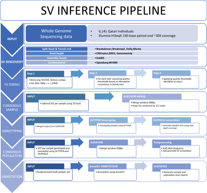 Flowchart of the structural variant consensus calling pipeline used in the Qatari genomes study
