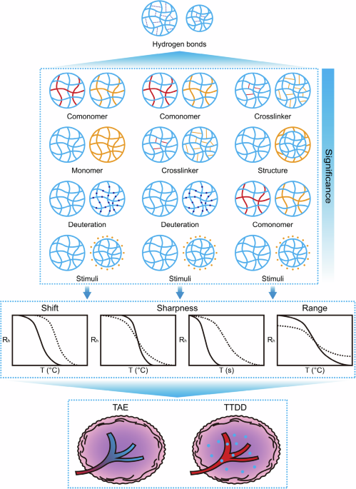 Nanogels with volume phase transition for biomedical applications - Nature Communications
