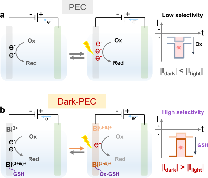 Reversible bismuth reduction-driven dark photoelectrochemistry
