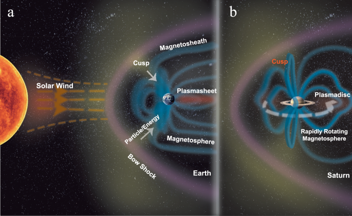 Dawn-dusk Asymmetrical Distribution of Saturn’s Cusp