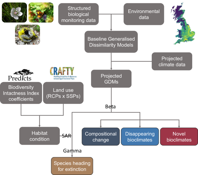 Future scenarios for British biodiversity under climate and land-use change - Nature — source Rainforest & Nature (Google News)