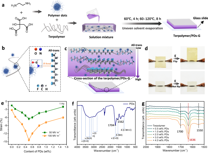 Biomimetic actuator crafted from a relaxor ferroelectric polymer nanocomposite - Nature Communications