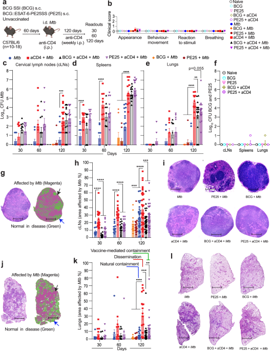 female network iv glutathione thread 24 CD8+ T cells sustain vaccination-induced immunity against dissemination of contained tuberculosis in immunosuppressed hosts dihexa stability in aqueous Product Size:Travel Size | 5 ml first trimester