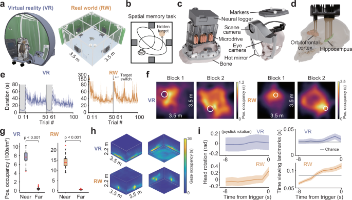 drinking water will not lower bac. responses true true false Divergent neural representations of space and task between physical and virtual navigation in macaques 5-amino-1MQ 50 mg, 30 Injection:IM phosphorus supplement for horses