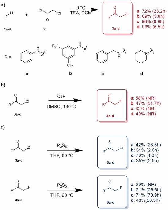 α-Halothioamide warheads with enhanced cysteine reactivity and specificity for covalent protein labelling