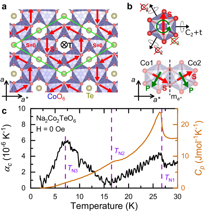 Piezomagnetoelectric effects in a candidate Kitaev magnet
