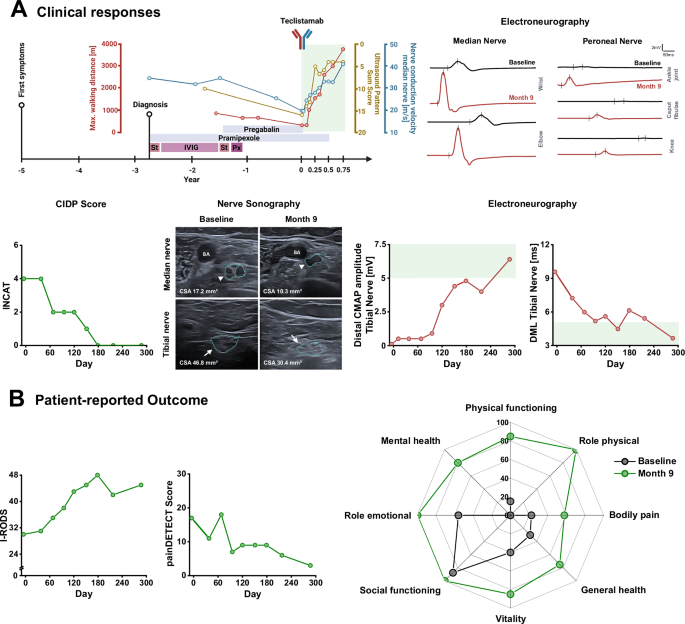 Therapeutic effect of T-cell engager in two patients with autoimmune neuropathy