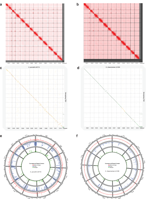 Breakthrough in Wild Tomato Genome Research Unveils Recombination Barriers