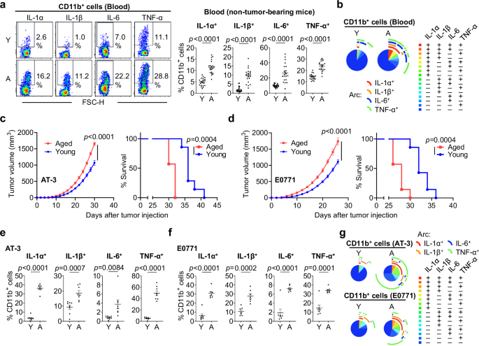 Thymulin restrains age-associated myeloid inflammation and enhances cancer immunotherapy