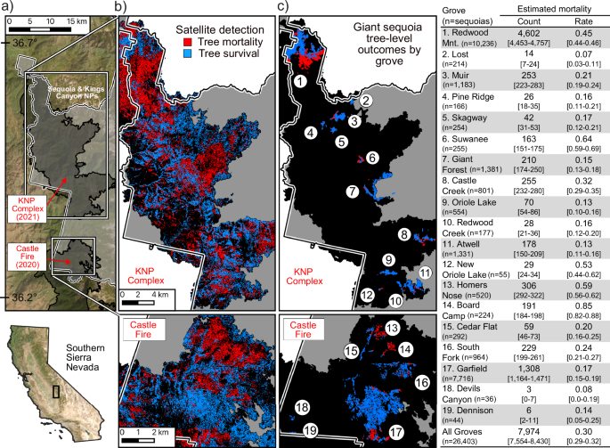 Previous prescribed burns saved thousands of ancient sequoias during historically unprecedented wildfires - Nature Communications