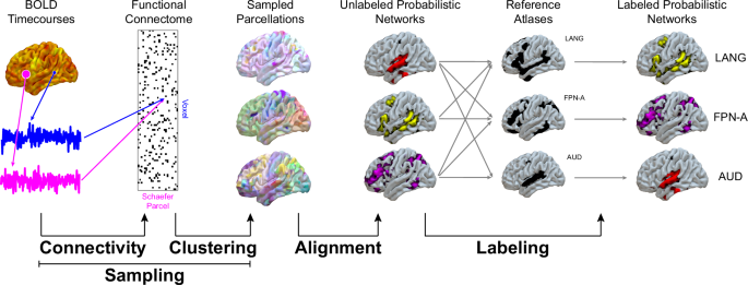 A language network in the individualized functional connectomes of 1199 human brains doing arbitrary tasks
