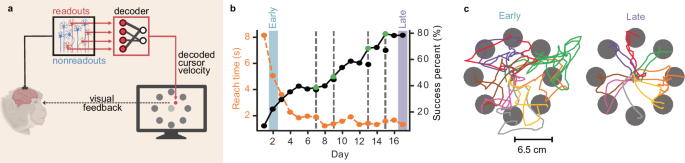 Assistive algorithms influence neural representations in motor brain-computer interfaces