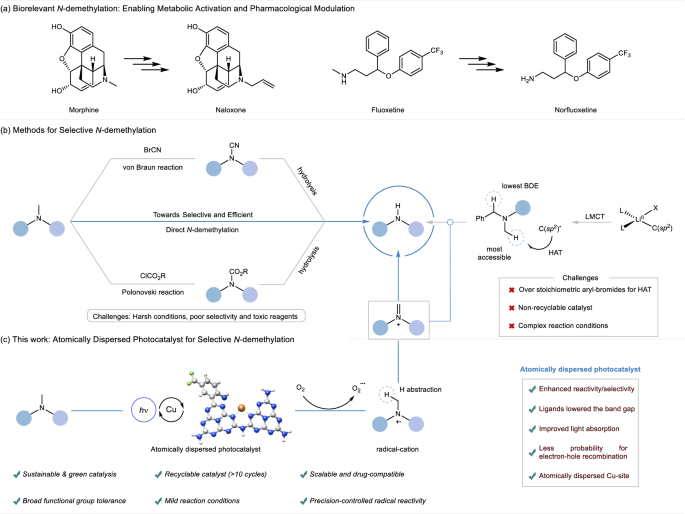 An Atomically Dispersed Copper-Catalyst Lights the Way to Selective N -Demethylations - Nature