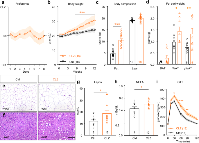 Functional coupling between MC4R and Kir7.1 contributes to clozapine-induced weight gain in female mice