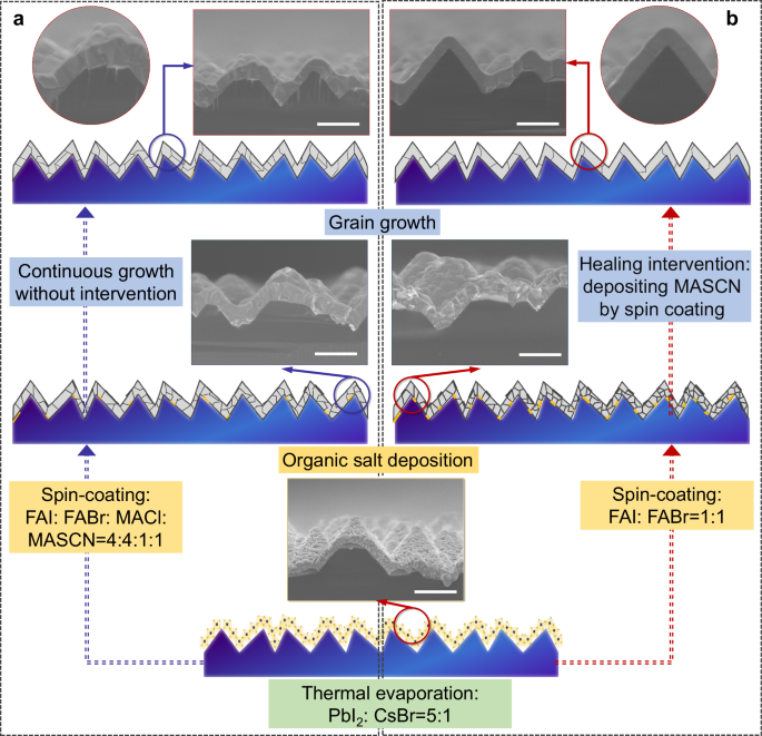 Healing intervention for improving the efficiency and stability of tandem devices on industrial textured silicon - Nature Communications