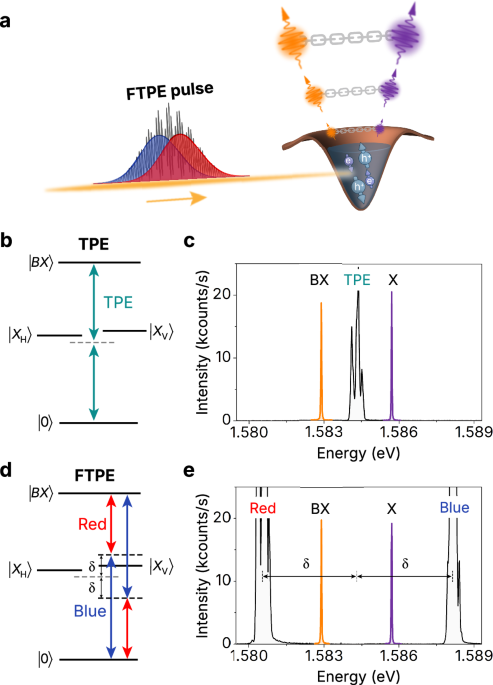 Robust biexciton preparation for entangled photon-pair generation by single-shot Floquet driving
