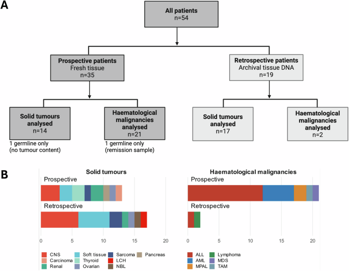 Clinical study: Rapid whole-genome sequencing identifies actionable cancer variants