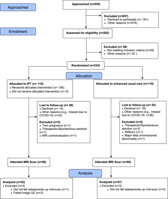Infant hippocampal and amygdala volume in an observational follow-up from a randomized clinical trial for maternal prenatal depression