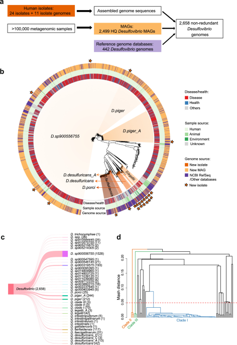 Construction of a Comprehensive 2,658-Genome Desulfovibrio Database and Genomic Analysis