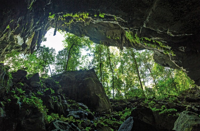 Alone in the dark | Nature Plants