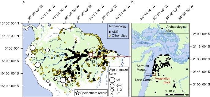 The legacy of 4,500 years of polyculture agroforestry in the eastern Amazon  | Nature Plants