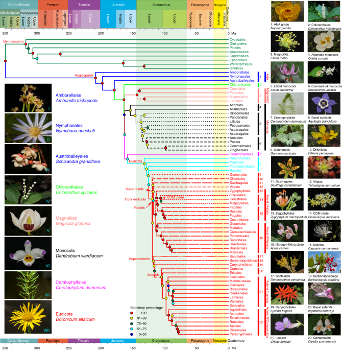 Figure 1 from Li et al 2019