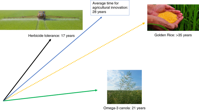 What are GM crops and how is it done?