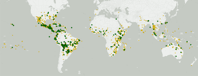 A foundation monograph of Ipomoea (Convolvulaceae) in the New World