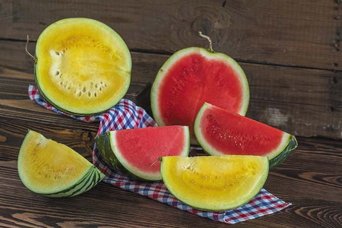 Red melon, yellow melon | Nature Plants