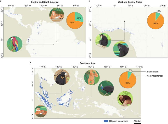 Palm Oil in Indonesia: Environmental and Social Aspects