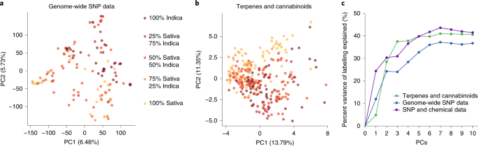 Faint Line on THC Drug Test Strip? Here's What it Means - Exploro