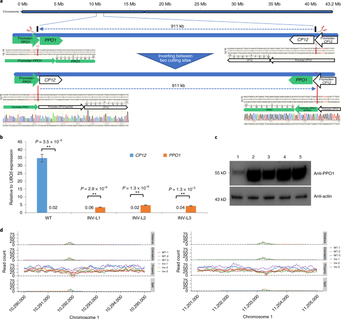 chromatogram viewer free database chromatogram viewer free database