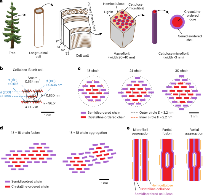 Re: [討論] 名小提琴的頻譜量測