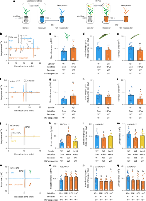 effects of smoking tobacco on the brain The Content – Science Education Enhances Knowledge (SEEK)