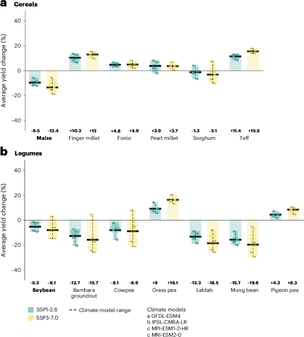 Modelling of climate impacts on opportunity crop productivity across Africa - Nature Plants