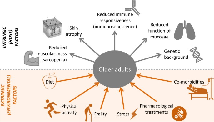 Fighting against a protean enemy: immunosenescence, vaccines, and healthy  aging | npj Aging and Mechanisms of Disease