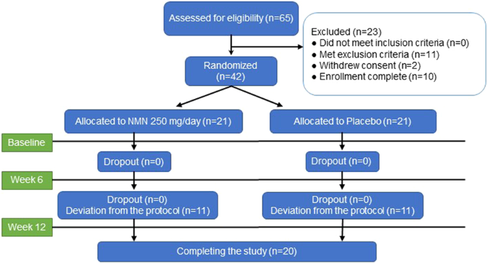 Chronic nicotinamide mononucleotide supplementation elevates blood  nicotinamide adenine dinucleotide levels and alters muscle function in  healthy older men | npj Aging