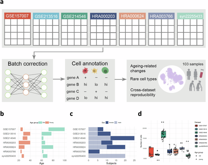 An integrated single-cell atlas of blood immune cells in aging | npj Aging