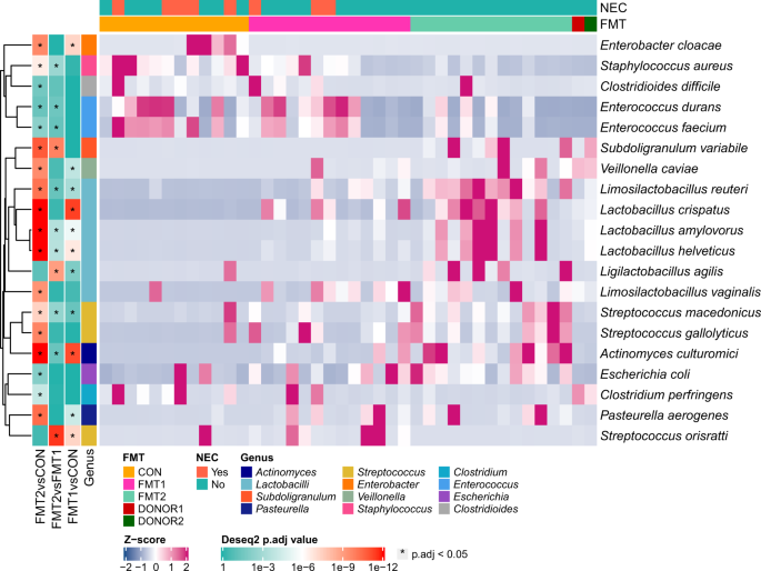 Q&A: DIY fecal microbiota transplantation a risky game of 'Russian roulette