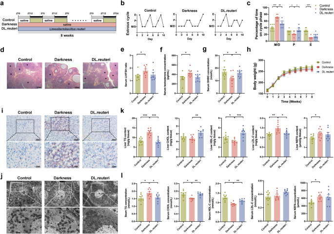 Alleviation of Limosilactobacillus reuteri in polycystic ovary ... - Nature.com