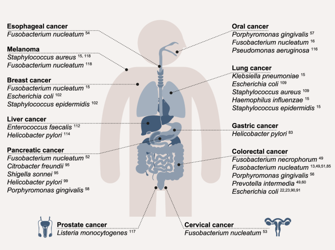 Pan-cancer analyses reveal cancer-type-specific fungal ecologies