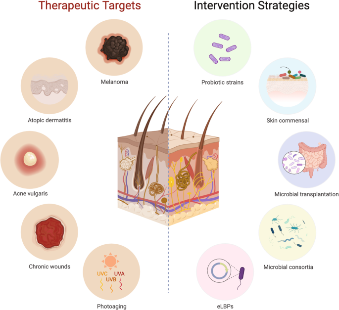 Recent advances in single-cell engineered live biotherapeutic products research for skin repair and disease treatment