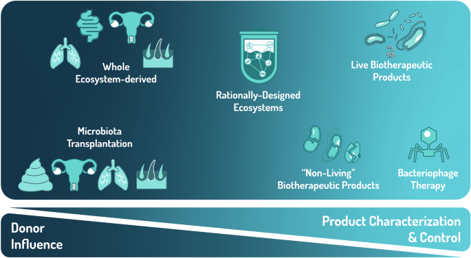 The regulatory framework for microbiome-based therapies: insights into ...