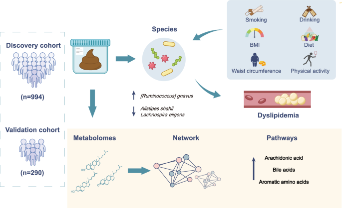 Mediation effect and metabolic pathways of gut microbiota in the associations between lifestyles and dyslipidemia Mediation effect and metabolic pathways of gut microbiota in the associations between lifestyles and dyslipidemia