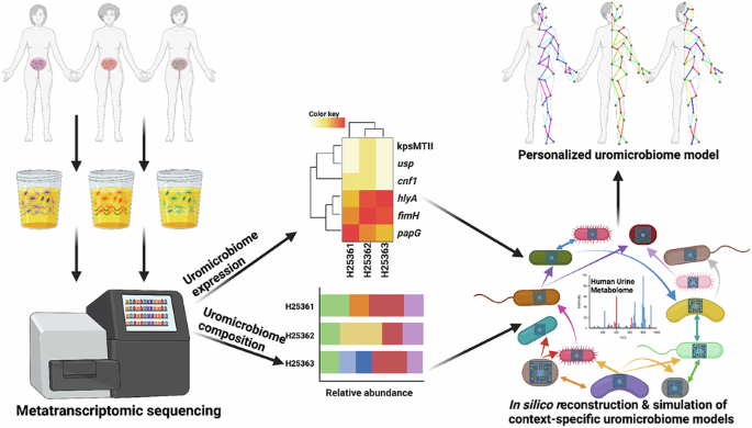 Metatranscriptomics-based metabolic modeling of patient-specific ...